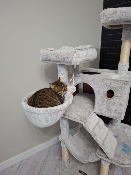 Домік для котика