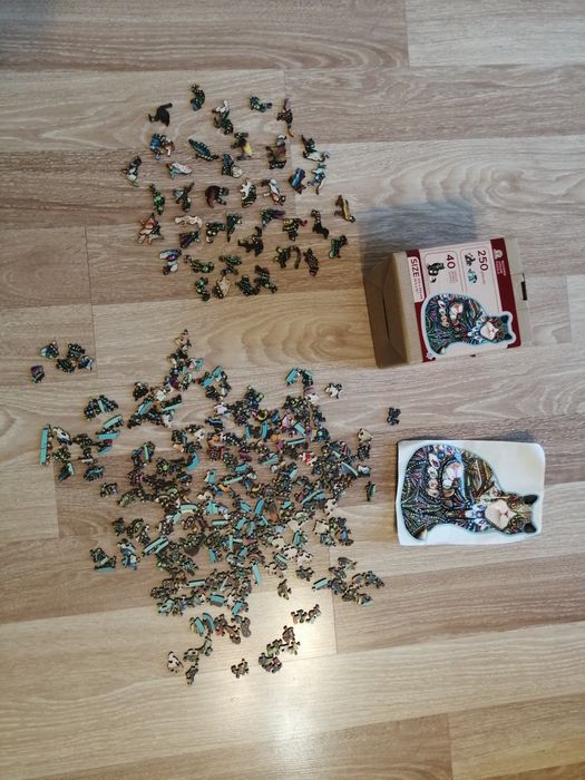 Puzzle drewniane 250 el.