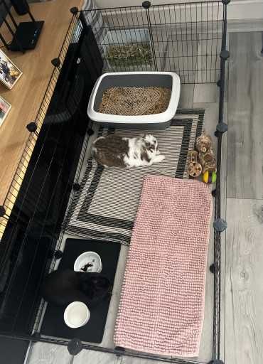 Klatka dla gryzoni królików świnki morskiej psa kota NOWA modułowa