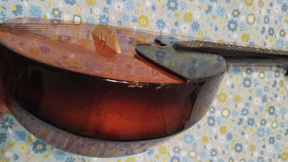 Майстрова домра прима