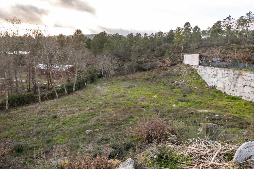 Lote Pedras Salgadas