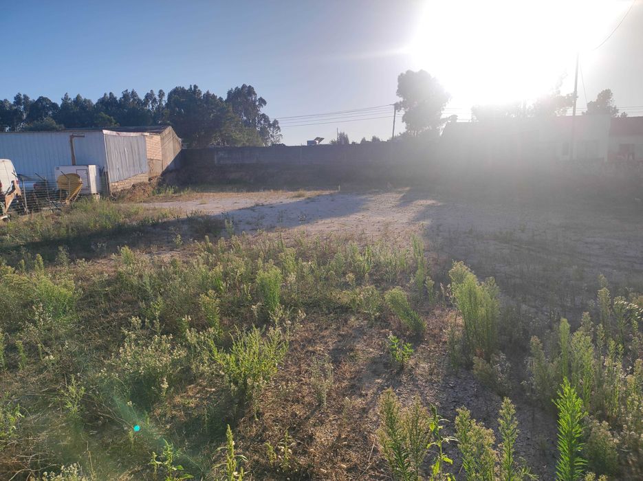 Arrendamento barato de Terreno