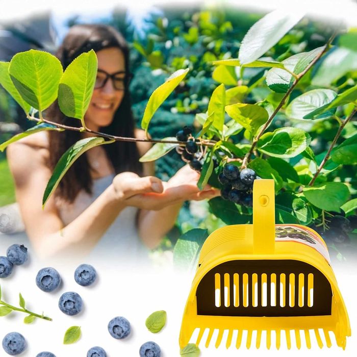 Zbieracz Jagód Borówek Porzeczek Aronia Grzebień