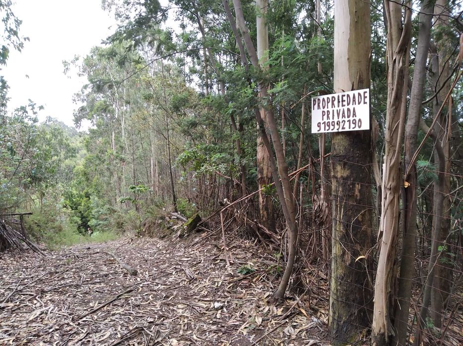 Terreno em Baguim do Monte com 6070M2 (rustico)