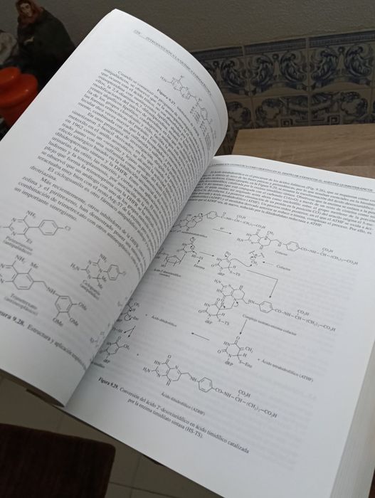 “Livro Introducción a la Química Farmacéutica – C. Avendaño – 2ª ed