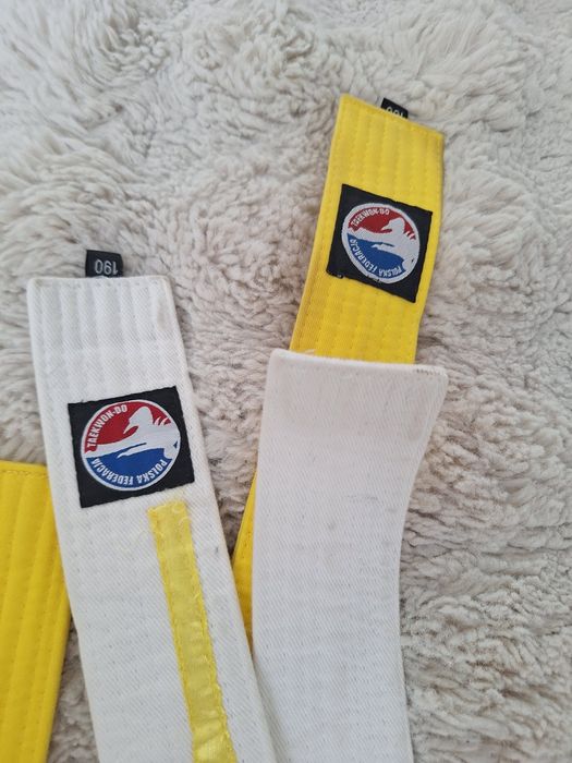 Taekwondo Pasy PTF