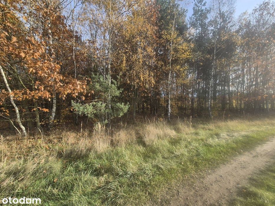 Na sprzedaż działka – Łochynia, gmina Mykanów – pohled 5