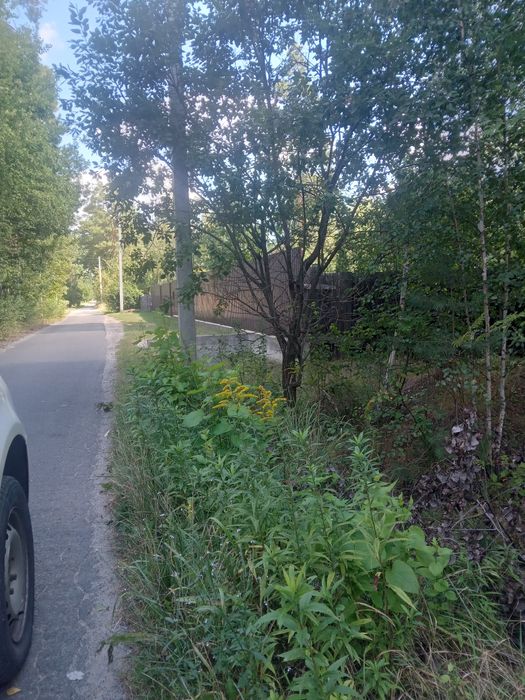 Терміново! 20 соток Земельна ділянка! Торг