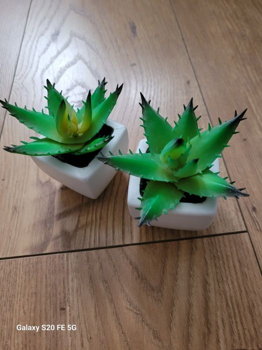 Sekulent Aloes sztuczny