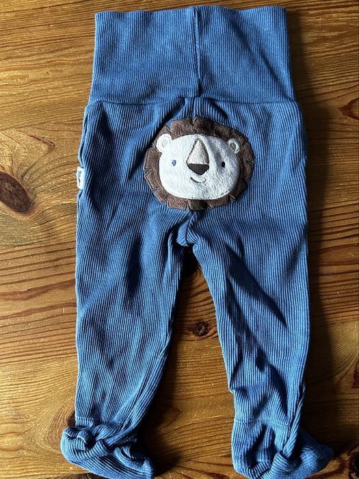 Półśpiochy w kolorze granatowym