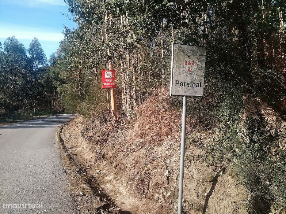 Terreno em Perelhal c/PIP aprovado