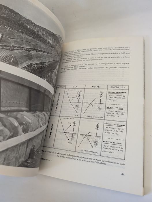 A Intensificação da Produção Hortícola