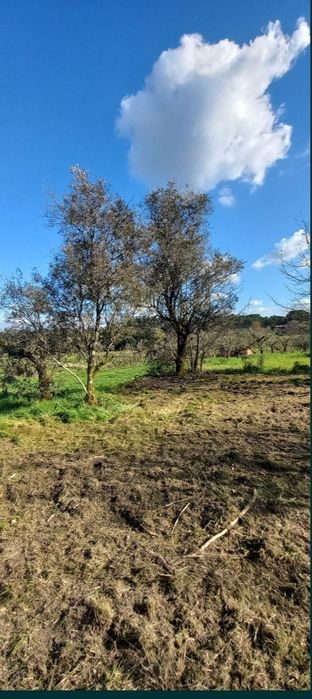 Vendo terreno Rústico
