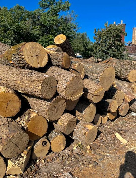 Дрова колоті, кругляк, метровки, дубові,  продаж та доставка