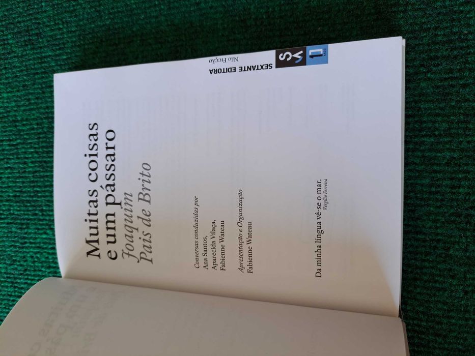 Muitas coisas e um pássaro - Joaquim Pais de Brito