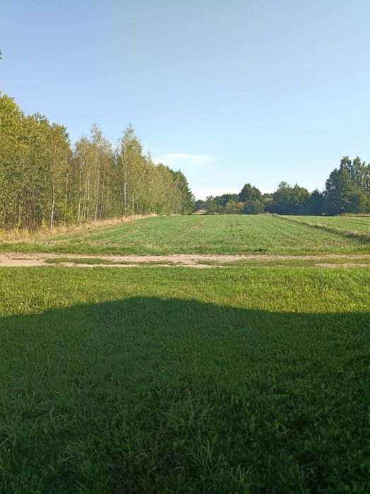 Działka do sprzedania