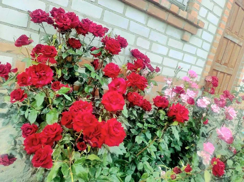 Продам добротний та міцний будинок в місті Бобринець.