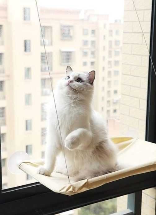 Лежанка для кота оконная/Лежак для кошки на окно/Лежанка на вікно