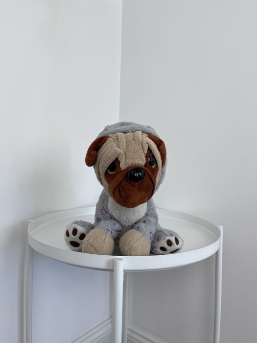 Pluszowy piesek w bluzie