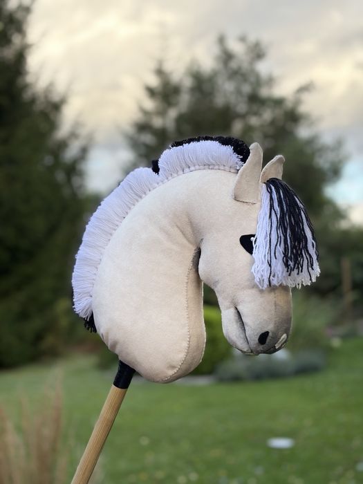 Hobby horse fiord