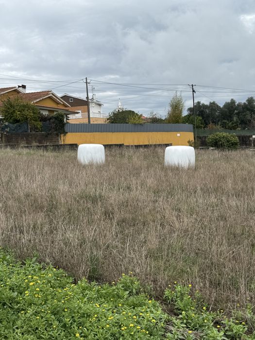 Fardos de feno silagem