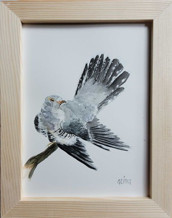 Akwarela ręcznie malowana "Kukułka" ptaki + rama
