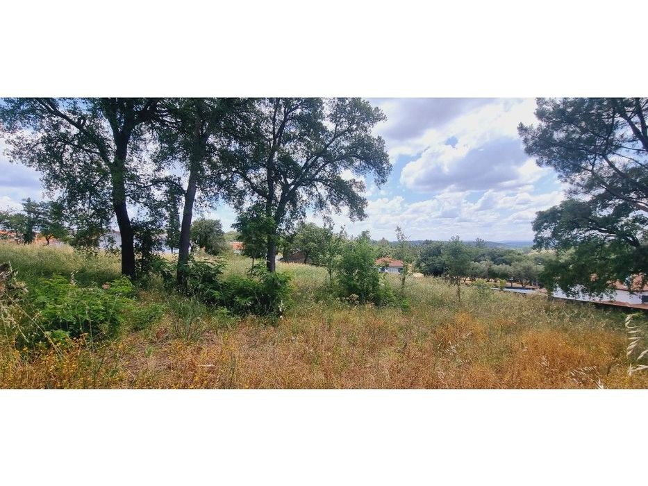 Terreno Venda Leiria