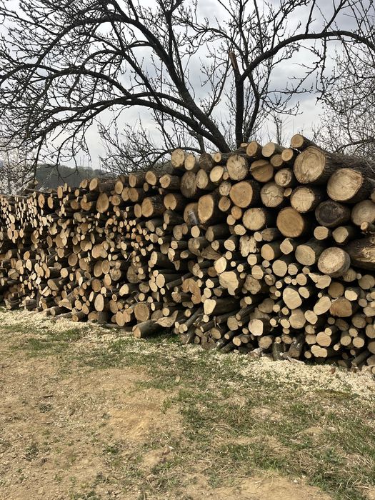 Продам дрова для опалення