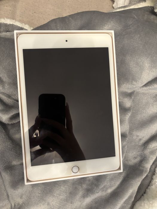 ipad mini 5 - rose gold