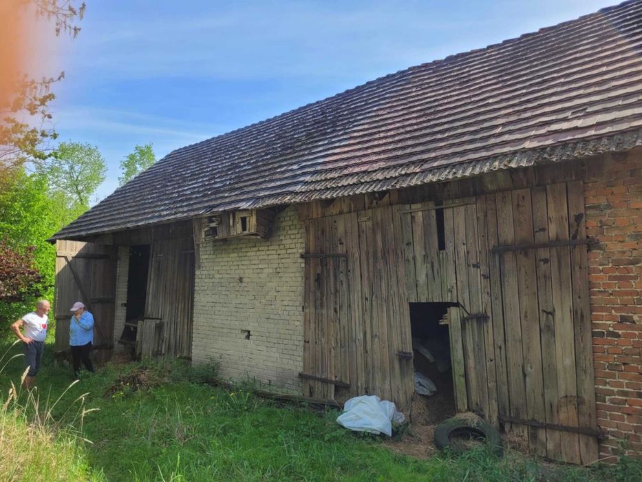 Słoma i siano za darmo