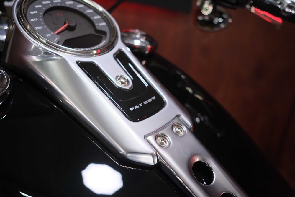 Harley-Davidson Fat Boy 107 із Японії
