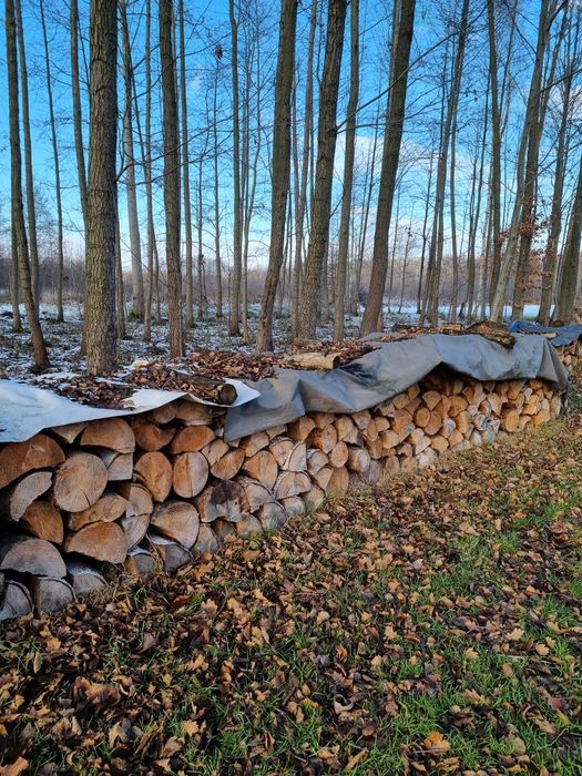 Drewno opałowe suche, sosna, brzoza.