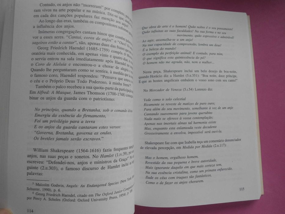 Espíritos Guias e Anjos da Guarda por Richard Webster