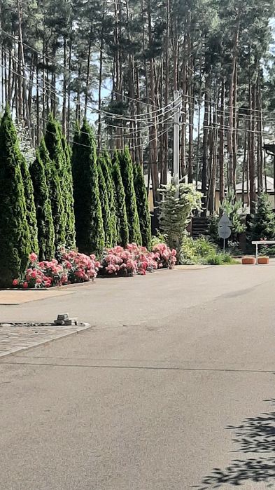 Буча Лісова Оренда  Дуплекс довгостроково  місце  статусне.