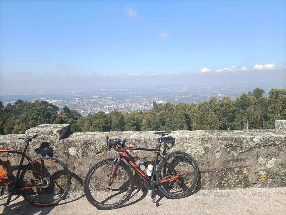 Rodas Campagnolo Bora One 50