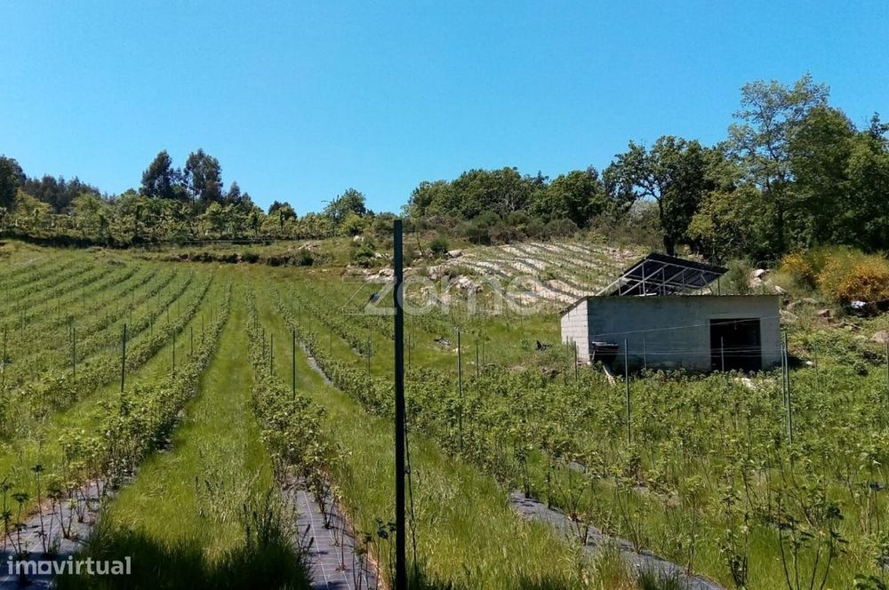 Rustic Land with Excellent Potential