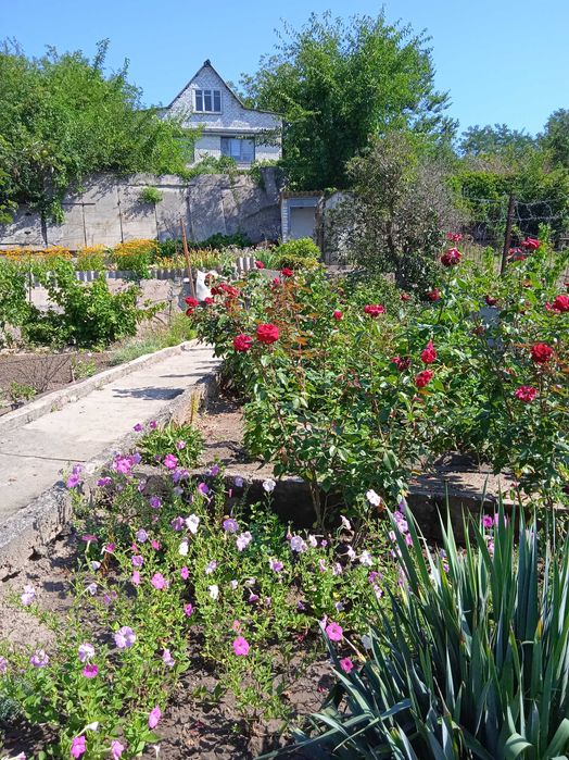 Продам дачу с.Привольное