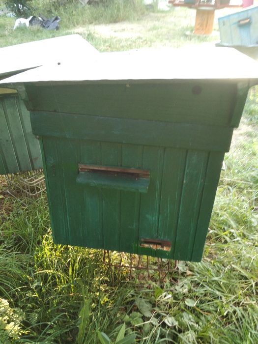 Продам вулики дадан