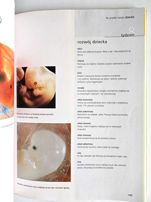 Twoja ciąża tydzień po tygodniu