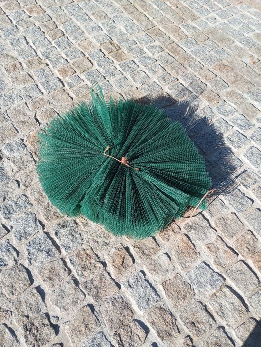 Rede proteção árvore