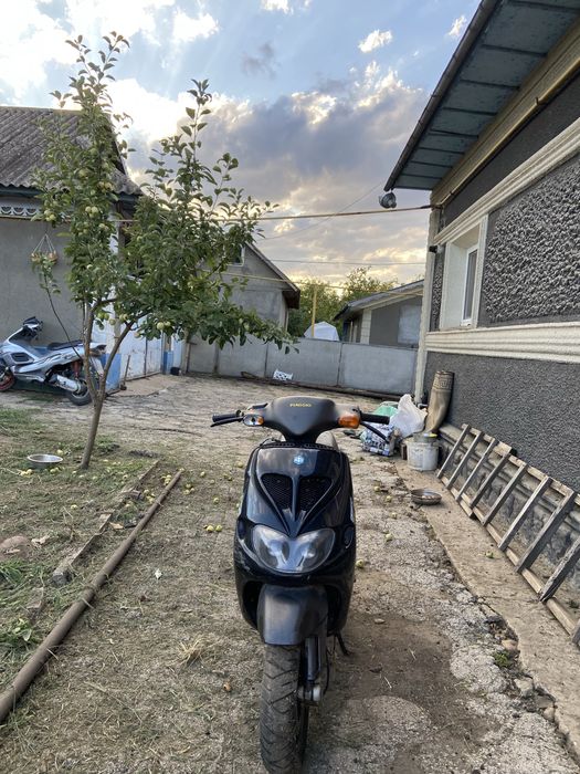 Piaggio zip sp 80