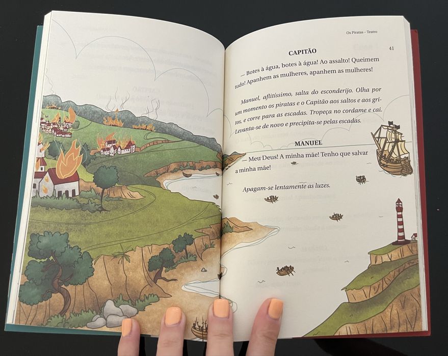 Os piratas - livro