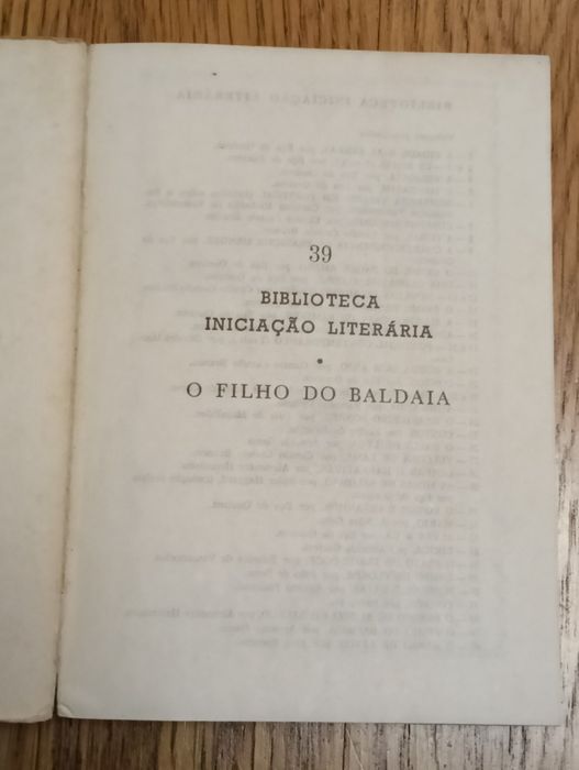 Livro O Filho do Baldaia