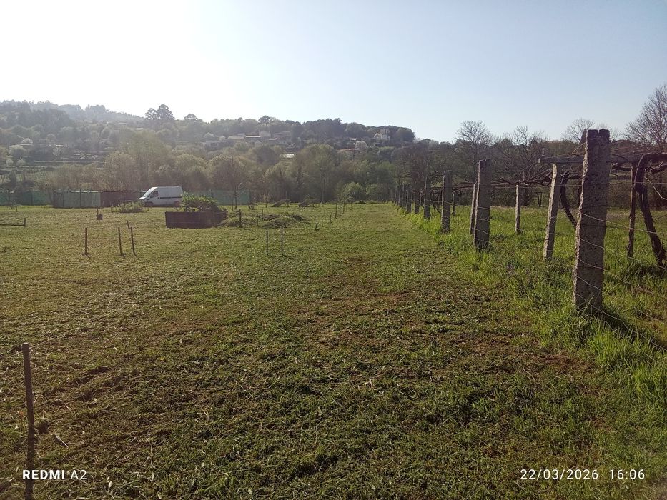 terreno pomar 3100 m2