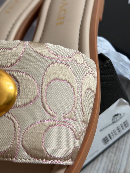 Шльопанці Coach в наявності
