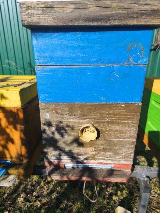 Продам вулик дадан 10 рамковий