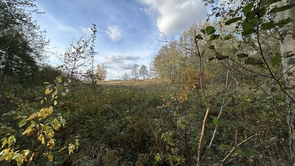 Działka budowlana na sprzedaż - 1,34 ha - Widok 3