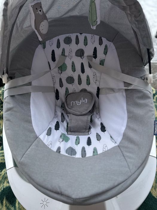 Заколисуючий центр