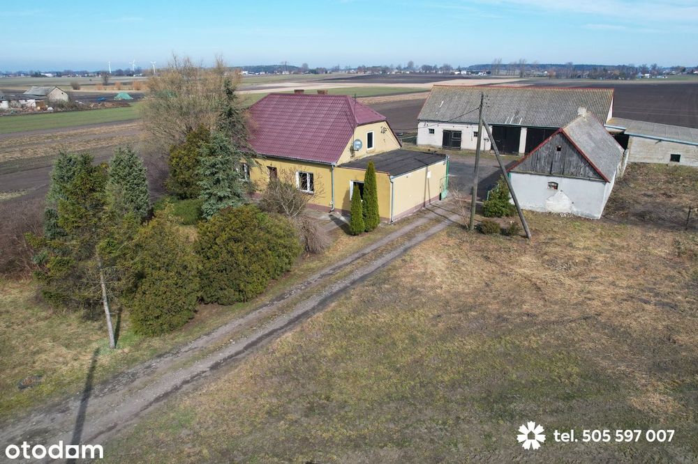 Siedlisko na Kujawach. Działka 3.000 m², dom, budynki gospodarcze - Widok 3