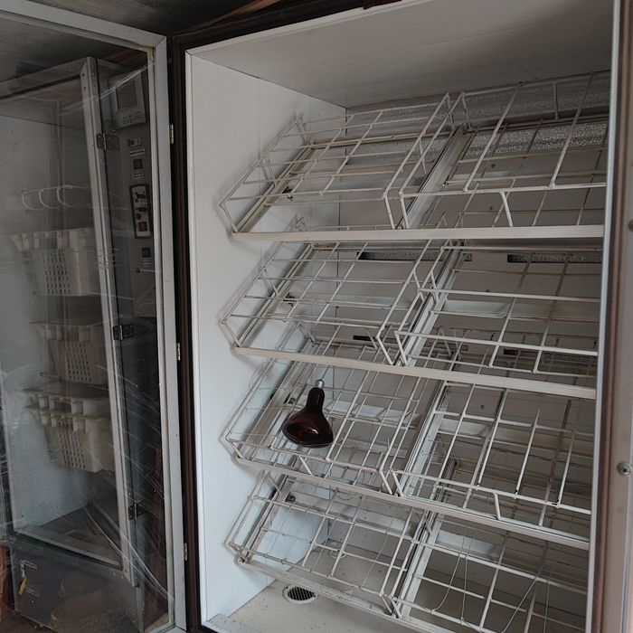 Інкубатор для страусів та качок